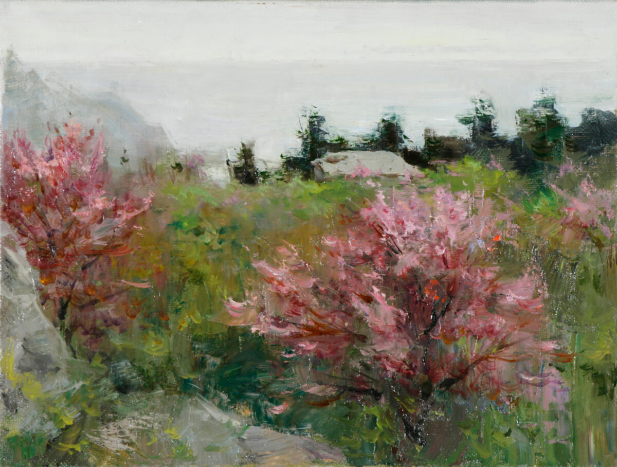 Flowering in Artek